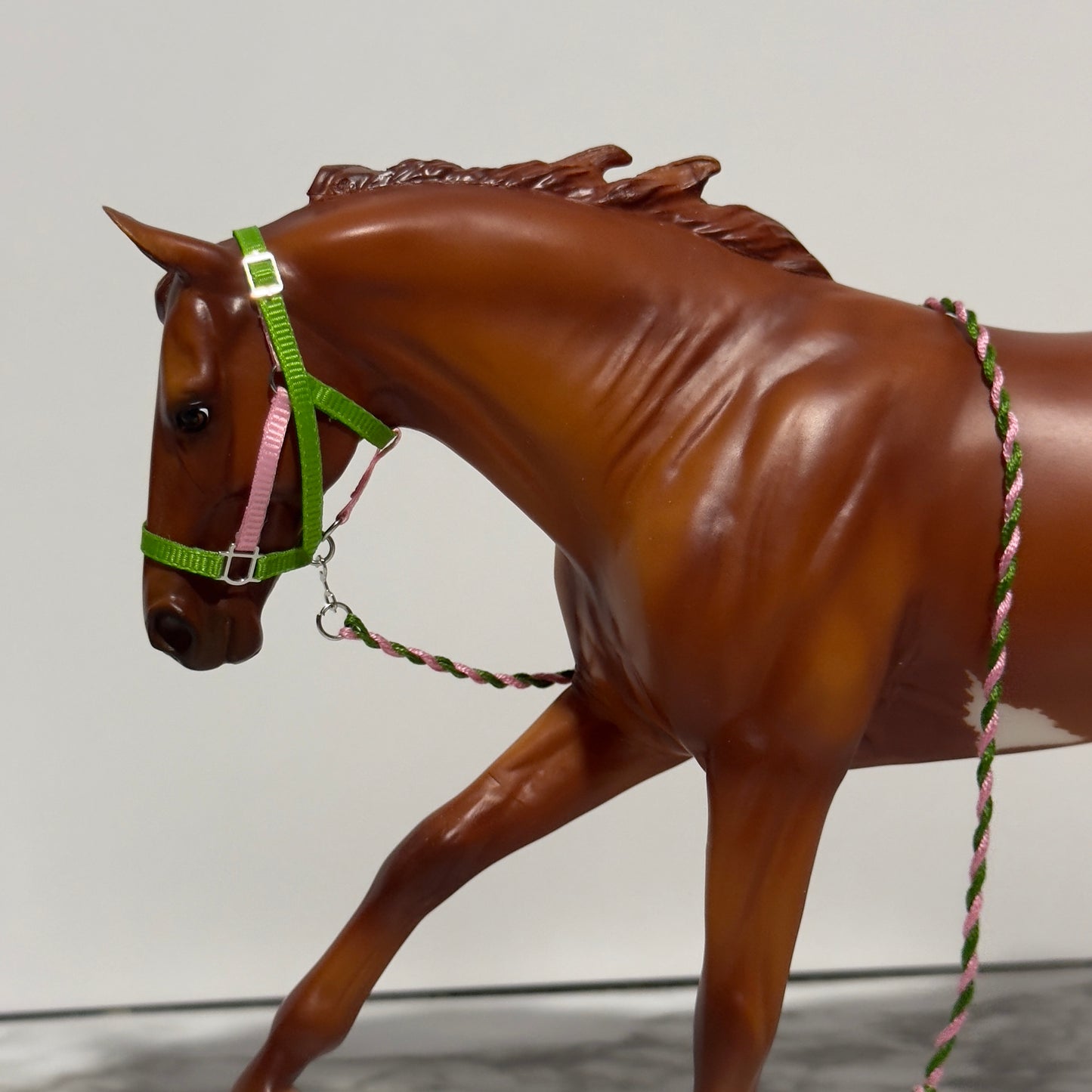 Watermelon Crush - Model Horse Halter Set